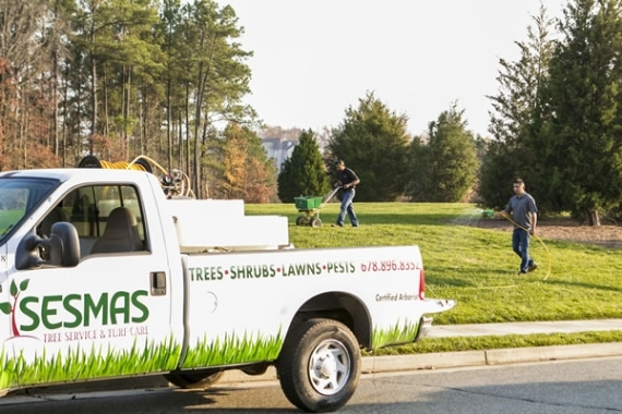 Lawn Care in Buford