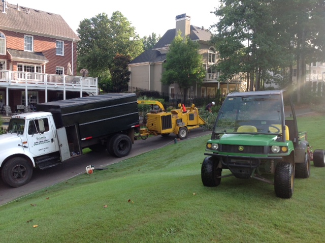 Bed and Pre-emergent Services