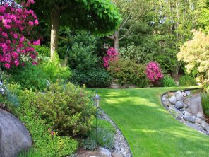 Lawn Care in Lawrenceville