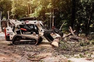 Emergency Tree Services