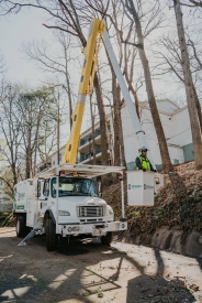 Crane Services