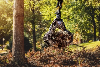 Land Clearing & Forestry Mulching